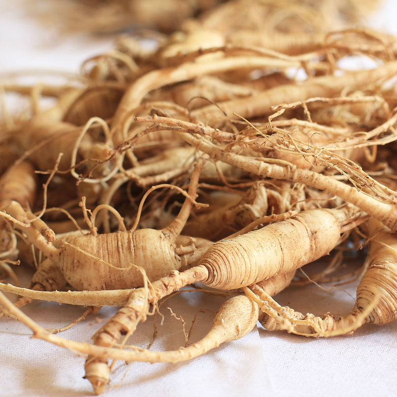The Panax Ginseng root, is a collection of roots, brown in colour and cylindrical, and are used to create the Native Extracts Panax Ginseng Cellular Extract.