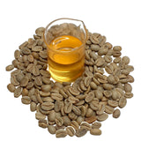 Dried green coffee beans surround a beaker with NATIVE EXTRACTS Green Coffee Bean Cellular Extract, golden yellow in colour