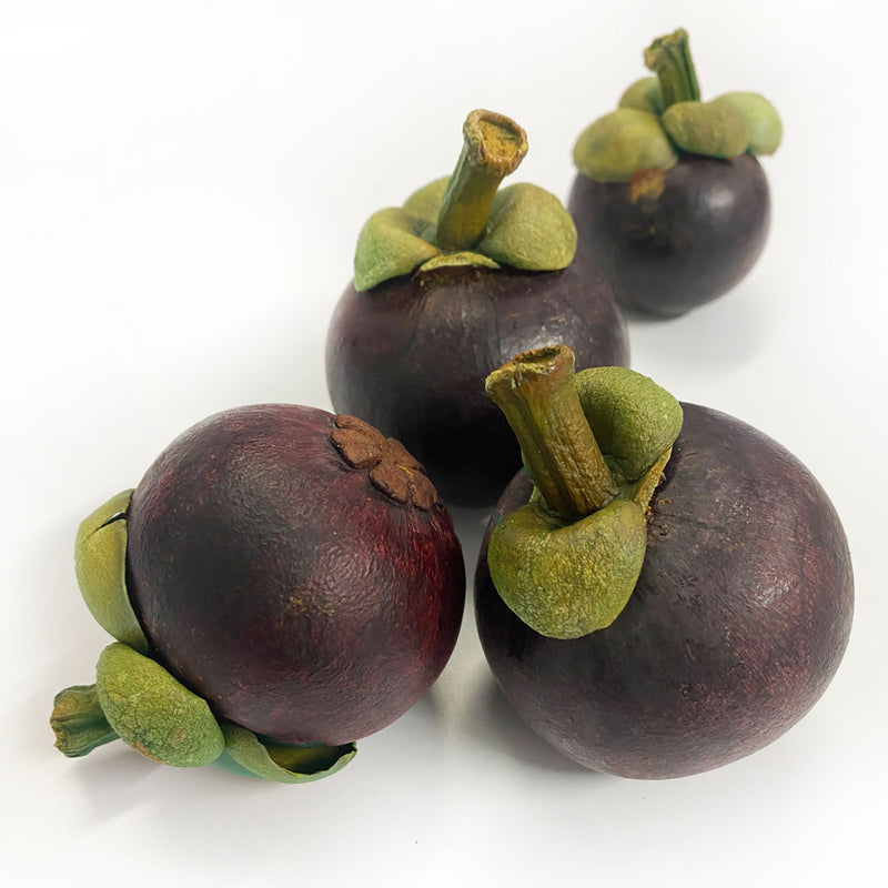 The Mangosteen fruit (Garcinia mangostana), which is used to make the Mangosteen Cellular Extract.