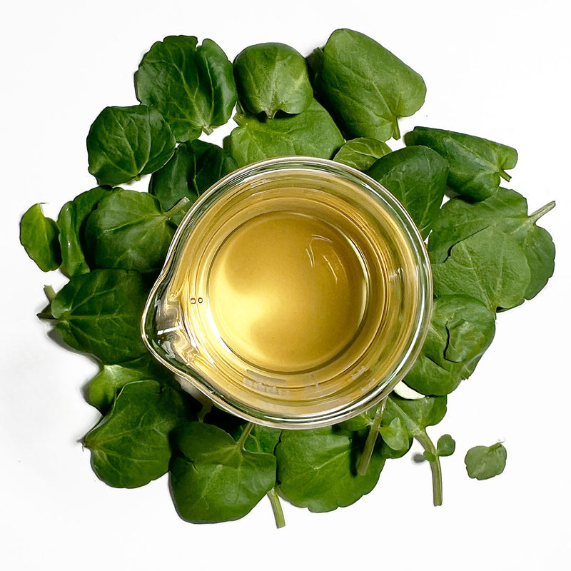 Watercress Leaf Cellular Extract