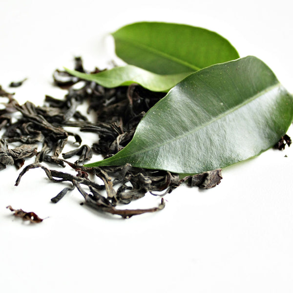 The Matcha leaves, which are used to create the Matcha Green Tea Cellular Extract.