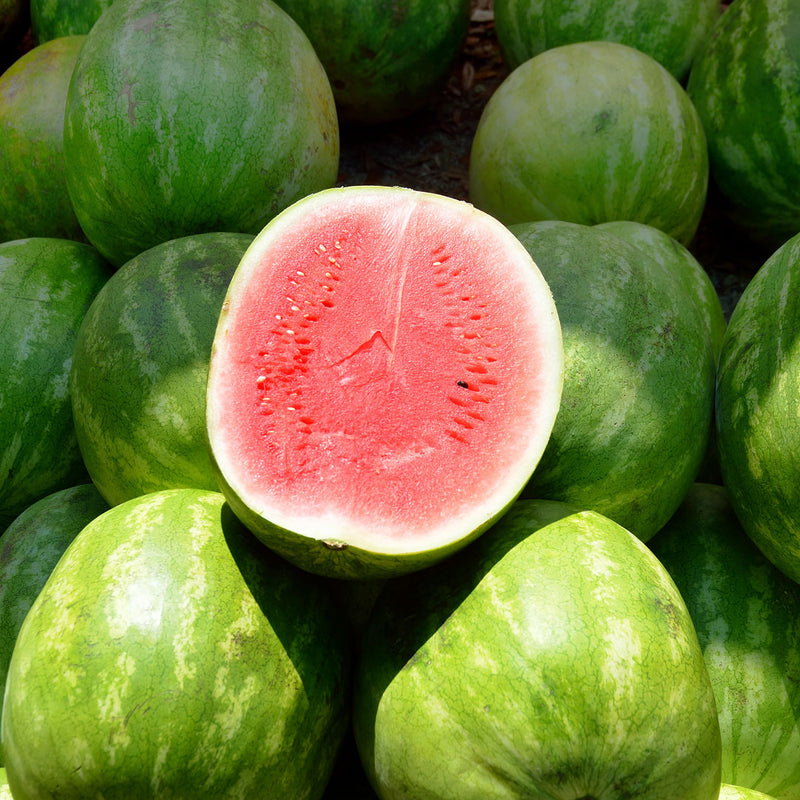 Watermelon cut in half with bright pink flesh sitting on whole watermelons