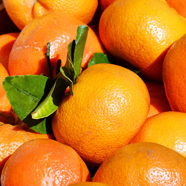 A slection of orange mandarins, which are used for Mandarin Cellular Extract.