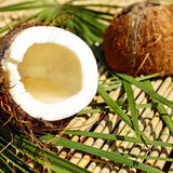 Coconut cut in half on a bamboo mat, scientifically known as Cocos nucifera
