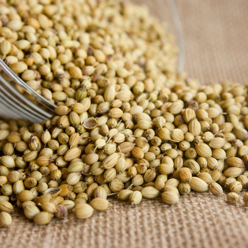 Dried coriander seed on a mat, scientifically known as Coriandum sativum