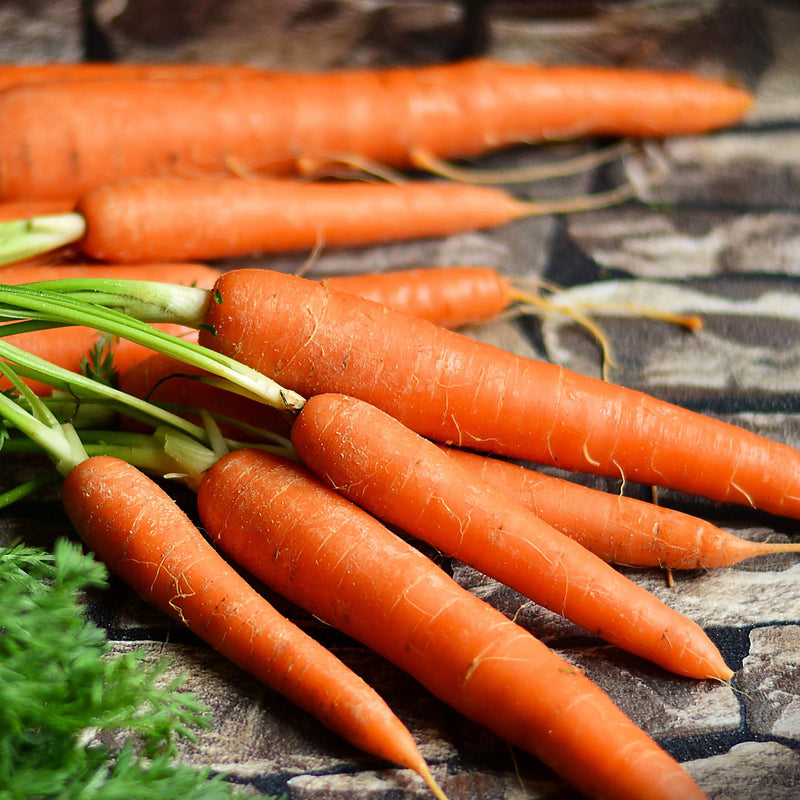 Carrot Cellular Extract