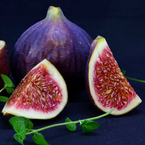 Brown, purple fig with anothe fig cut in half, bell-shaped scientifically known as Ficus carica create NATIVE EXTRACTS Fig Cellular Extract