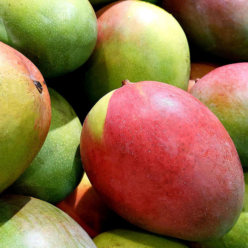 A selection of mangos, yellow, organge and red in colour, which are used in Mango Cellular Extract.