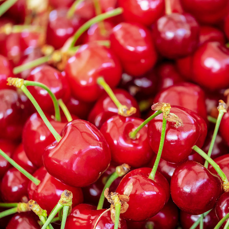 The Sweet Cherry Blossom (Prunus avium) tree has clusters of deep red cherries and is used to create the Native Extracts Summer Snowflake Cellular Extract.