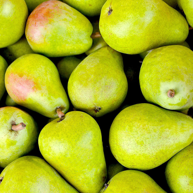 Pears are light green in colour and are used to create the Native Extract Pear Cellular Extract.