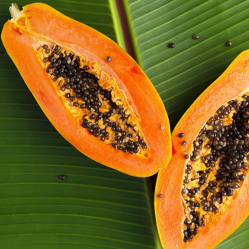 The Papaya plant, has lush fruit with a yellow skin, and inside bright orange flesh and round black seeds, and is used to create the Native Extracts Papaya Cellular Extract.