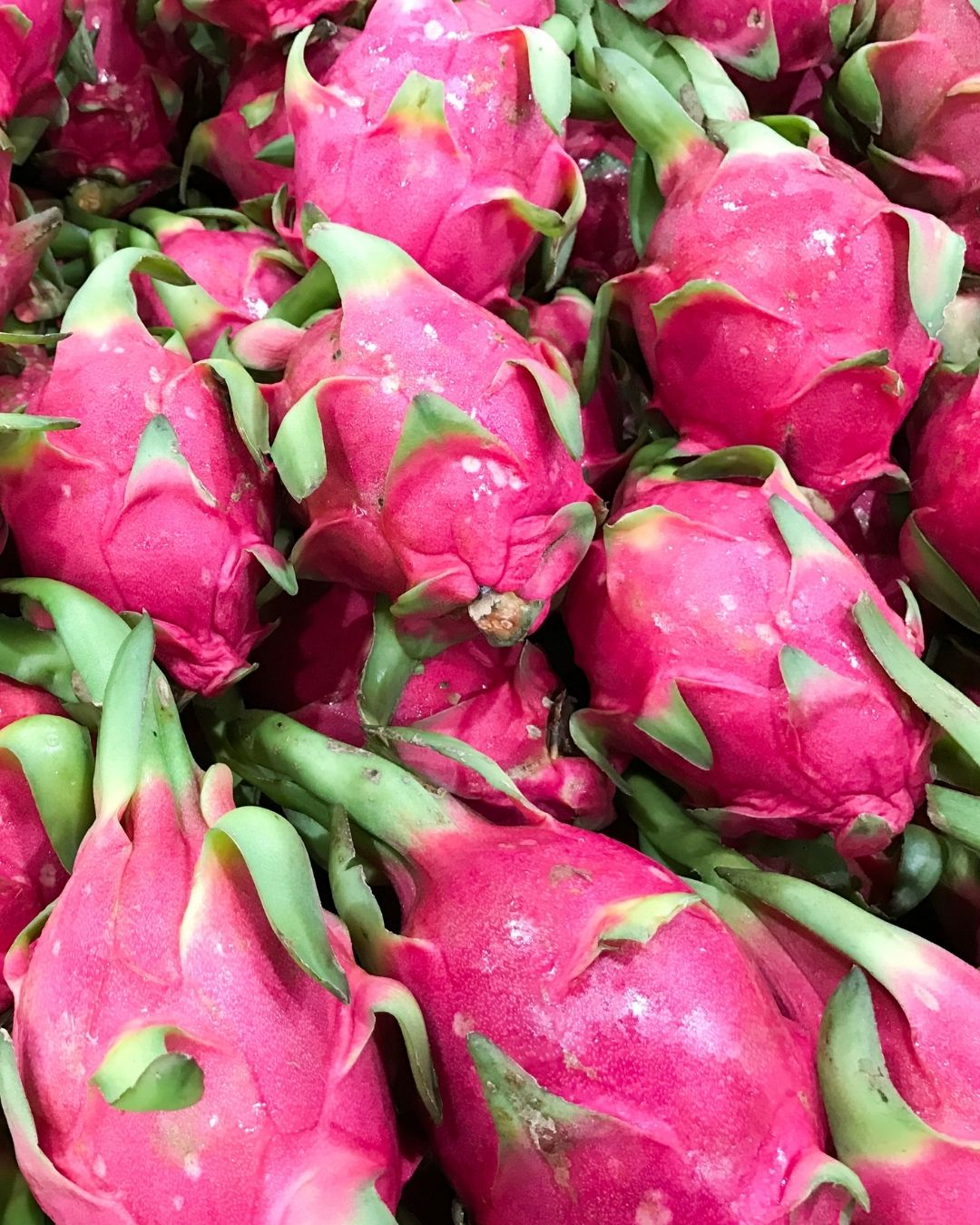 Dragonfruit Cellular Extract – NATIVE EXTRACTS